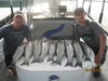 (08/22/2014) - Nice Striped Bass